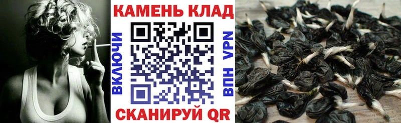 ГАШИШ Изолятор  Слюдянка 